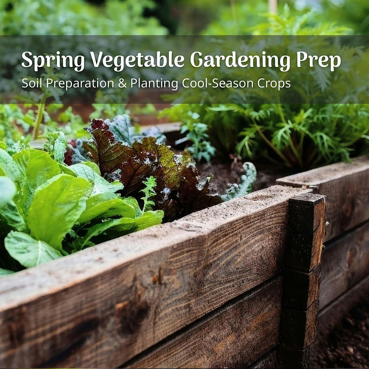 Spring Vegetable Gardening: Soil Preparation & Planting Cool-Season Crops