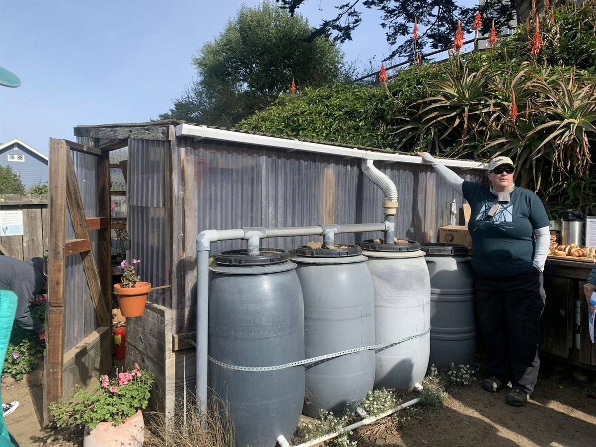 Making a Rainwater Harvesting System