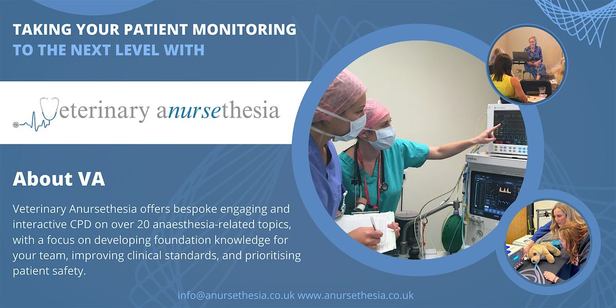 Belfast  - Building Confidence in Anaesthesia with Veterinary Anursethesia