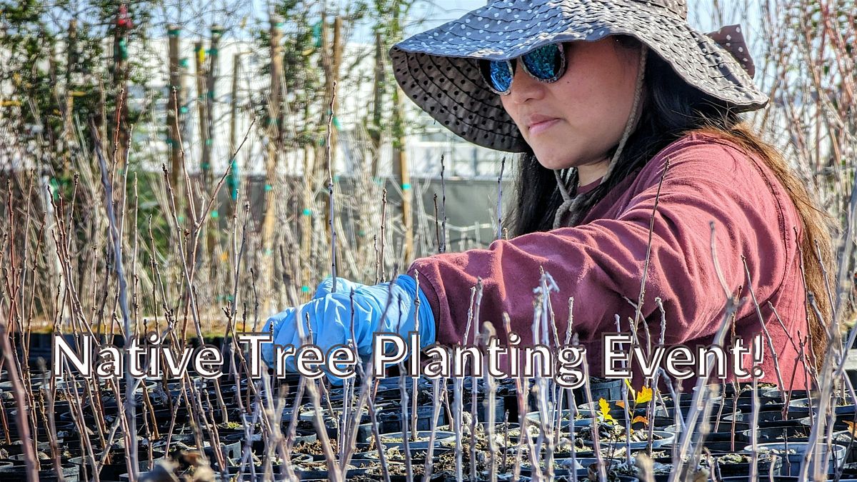 Native Tree Planting