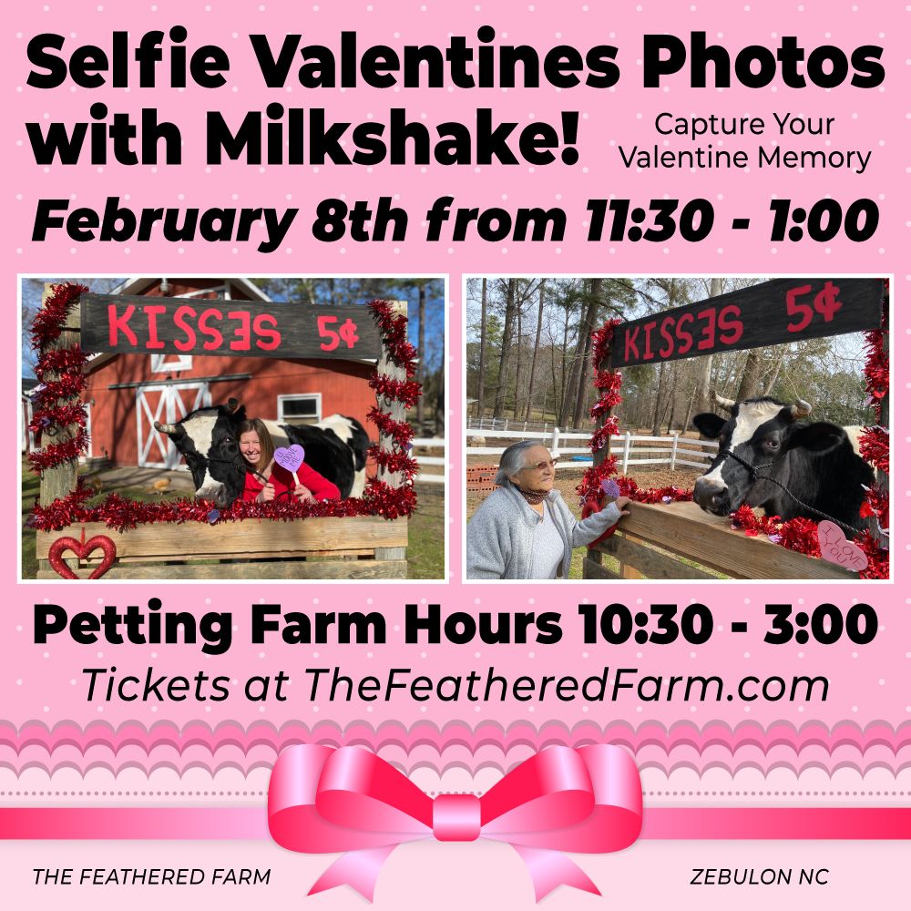 Selfie Valentine Photos with Milkshake! Open Play\/Farm Tour, playground, gem mining