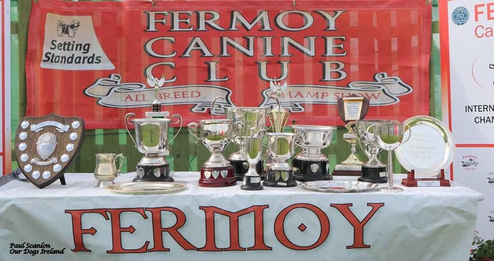 Fermoy Canine Club Members Show