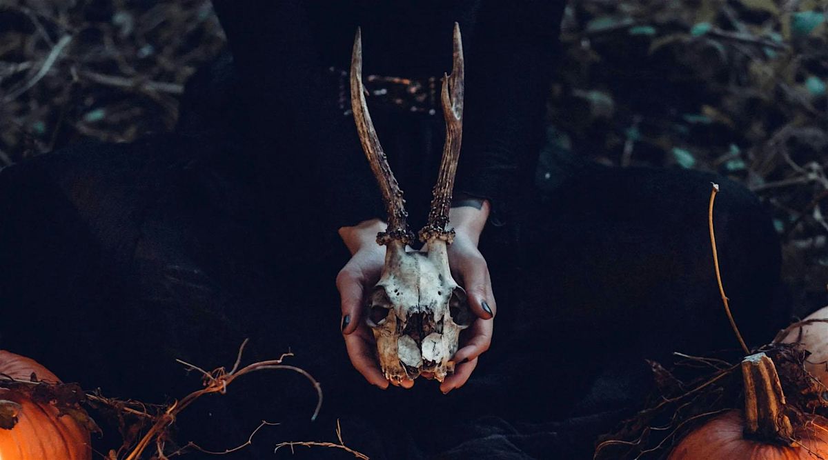 The Properties of Bones