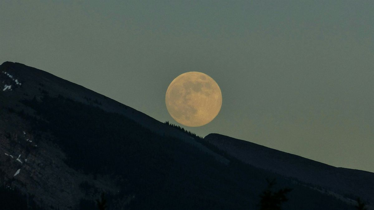 Full Moon Meditation with Dr. Richard Jelusich