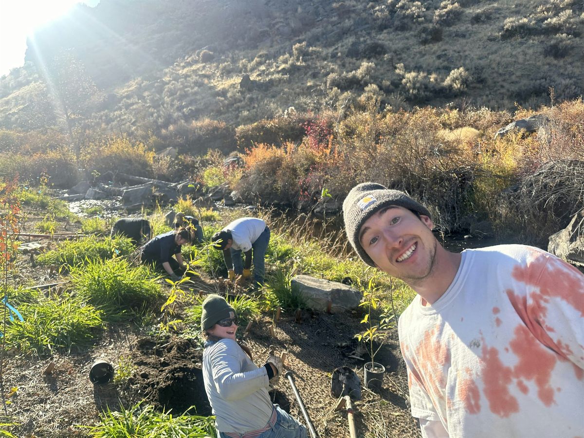 Planting and Education Walk at Cowiche Creek