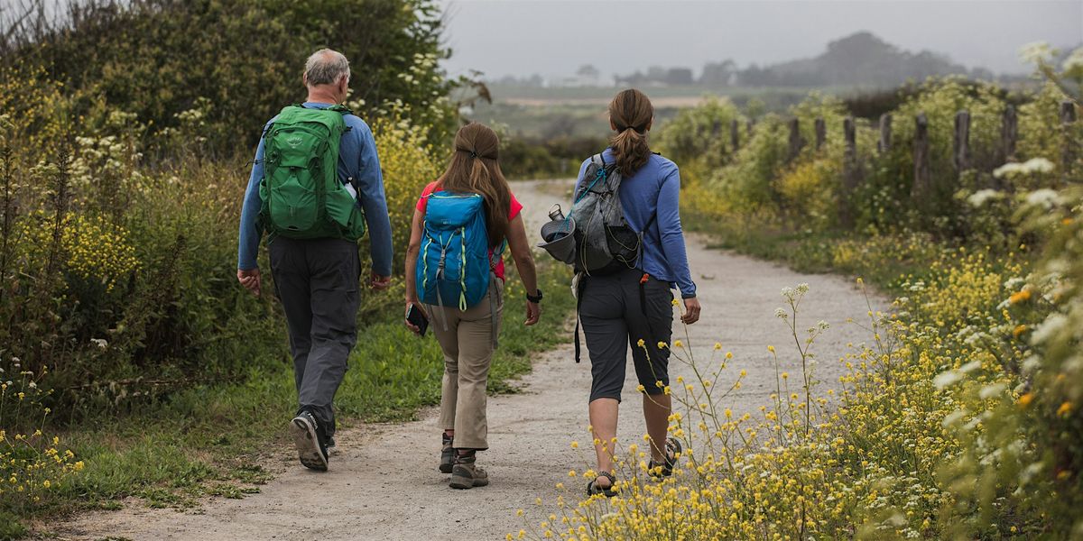 Coastal Walk at Cowell-Purisima Trail