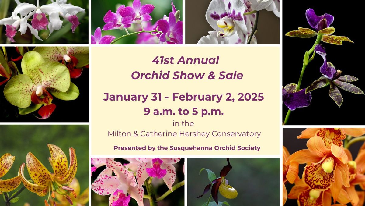 Orchid Show & Sale