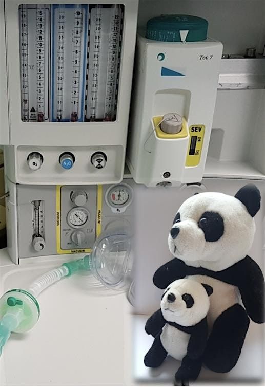 Paediatric Anaesthetic Skills & Simulation (PASS) Course