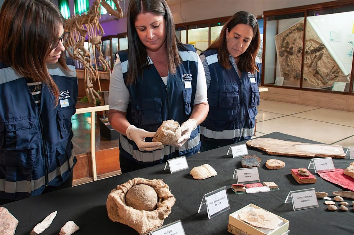El rol de la ADUANA y el INAPL en la protecci\u00f3n de los bienes culturales