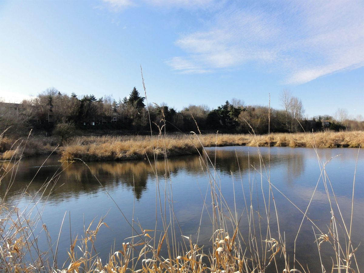 Oregon Rapid Wetland Assessment Protocol (ORWAP) - 2025