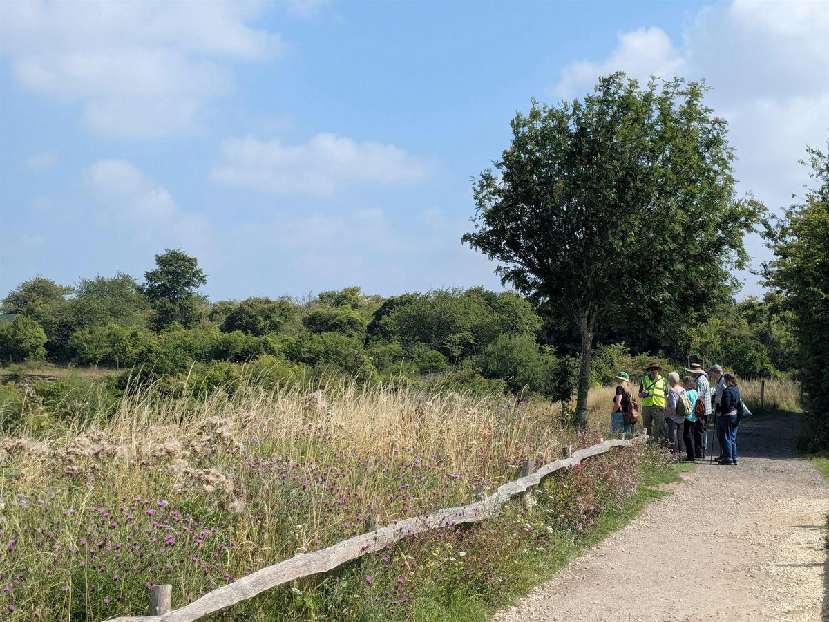 Guided Stroll of College Lake - College Lake, Friday 12 December