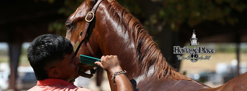 2025 Heritage Place Yearling Sale (OFFICIAL)