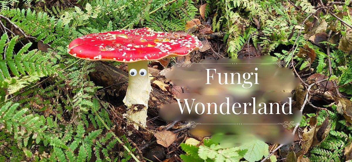 Foraging for All - Gain confidence around mushrooms