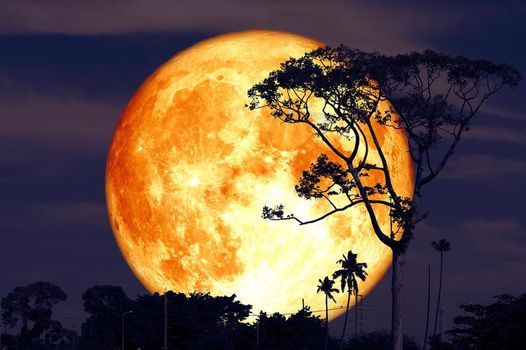 Latino Moonlight Sereades-Buck Moon