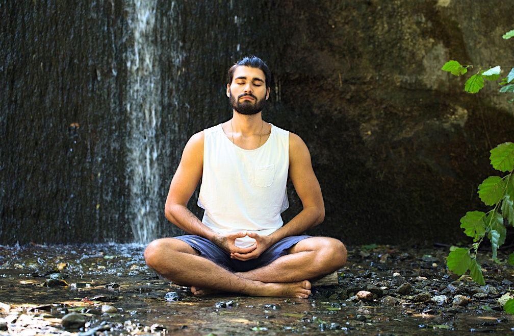 Meditation at the Museum