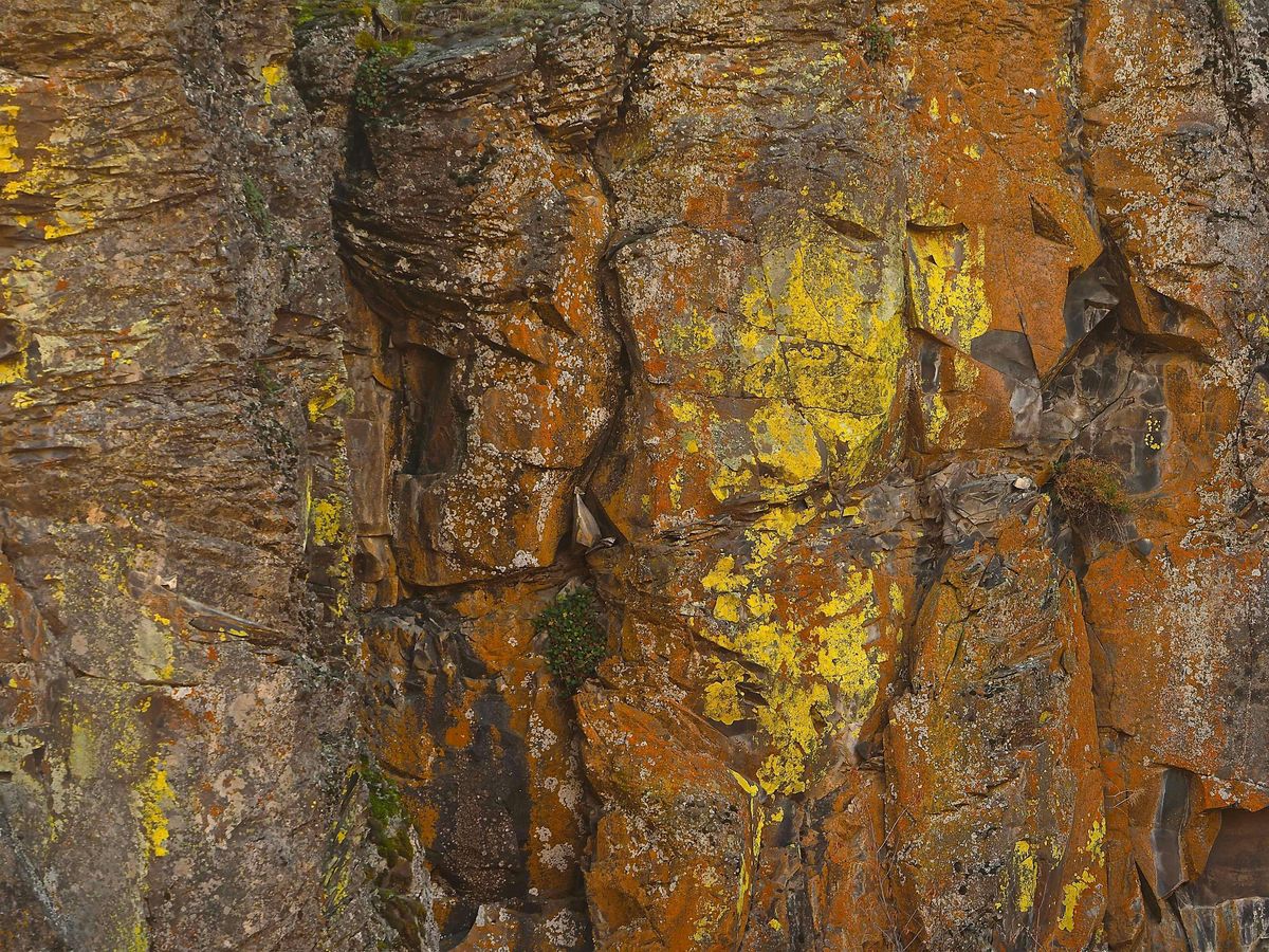 Cowiche Canyon Geology Walk #1