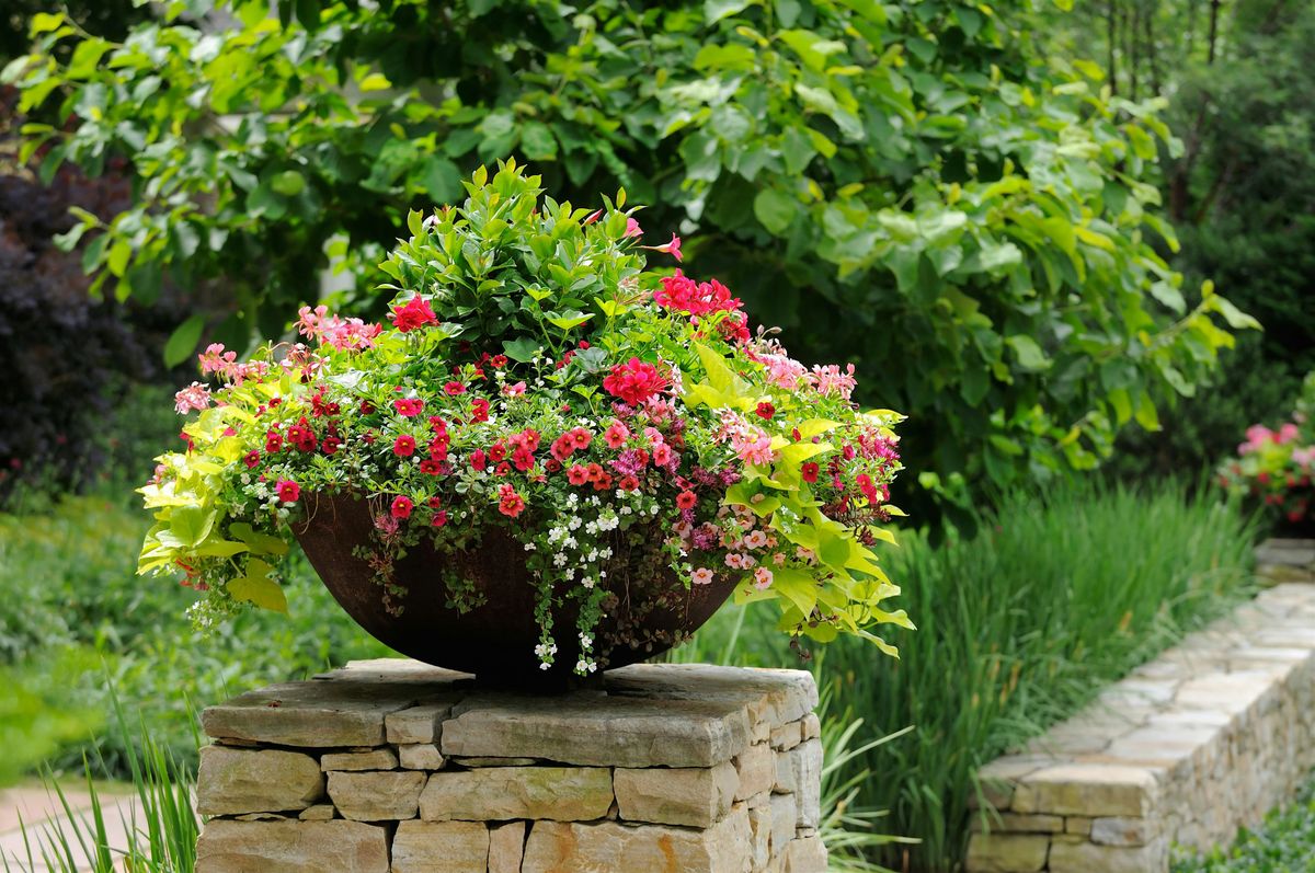 Artistry in Pots: Ornamental Container Gardening