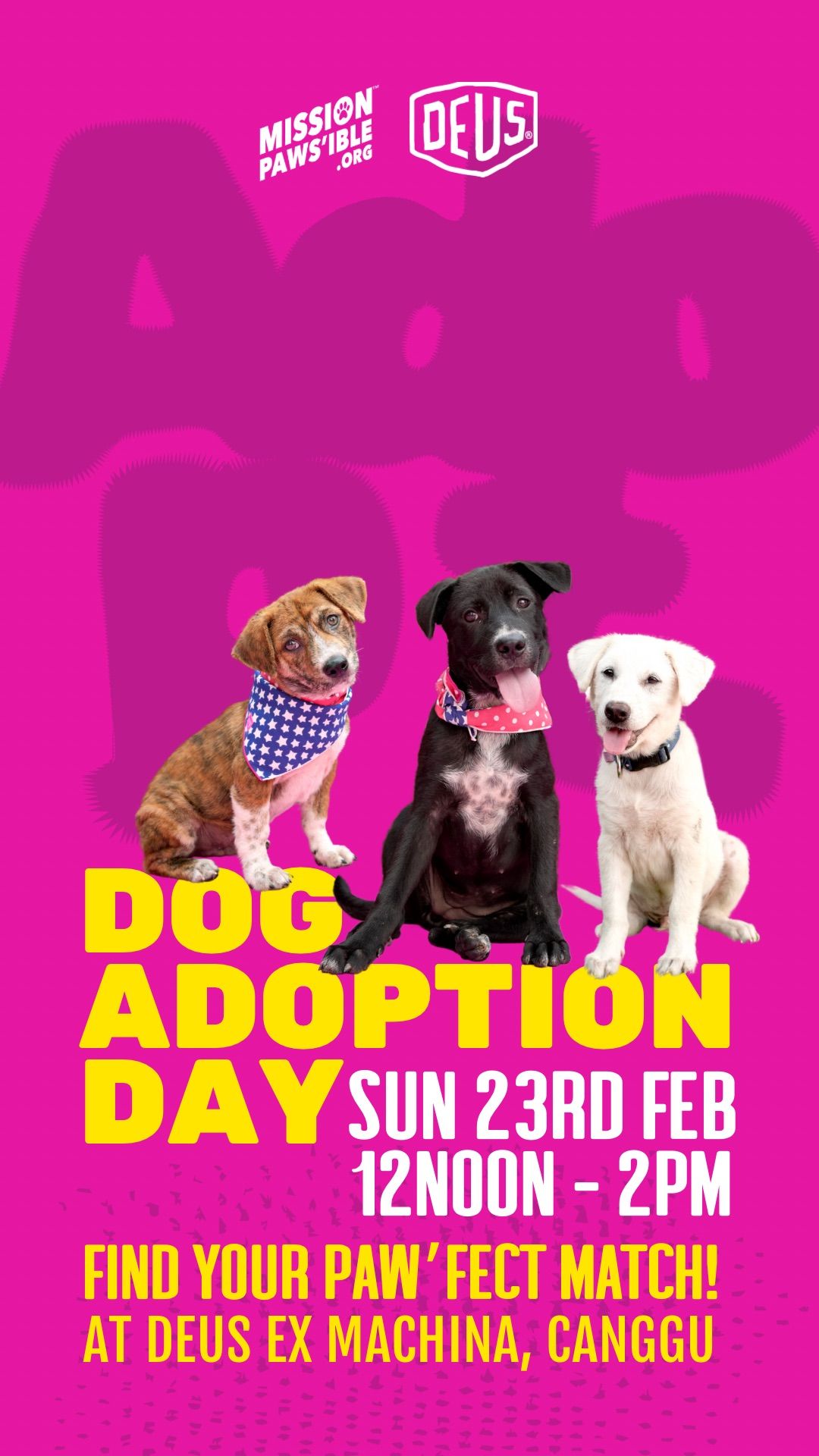 Adopt a Dog This Sunday