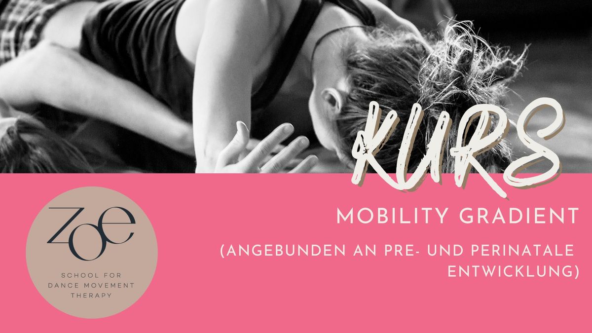 Kurs - Mobility Gradient (angebunden an pre- and perinatale Entwicklung)