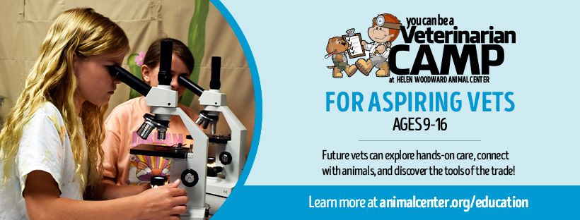 You Can Be A Veterinarian Camp - Full Day