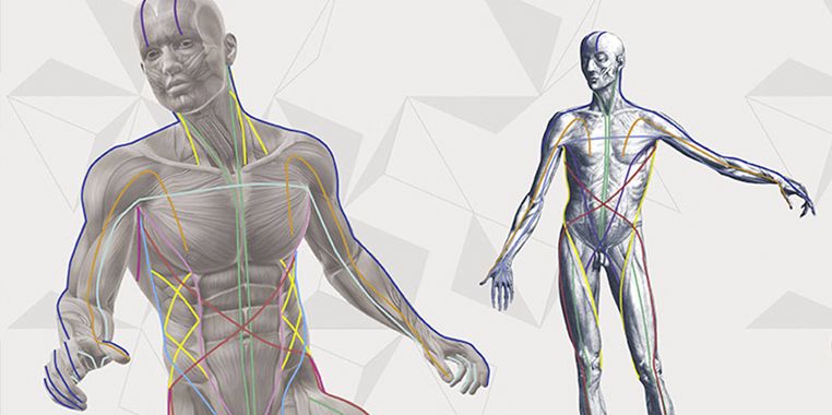 Anatomy Trains Structural Essentials: Tensegrity Spine
