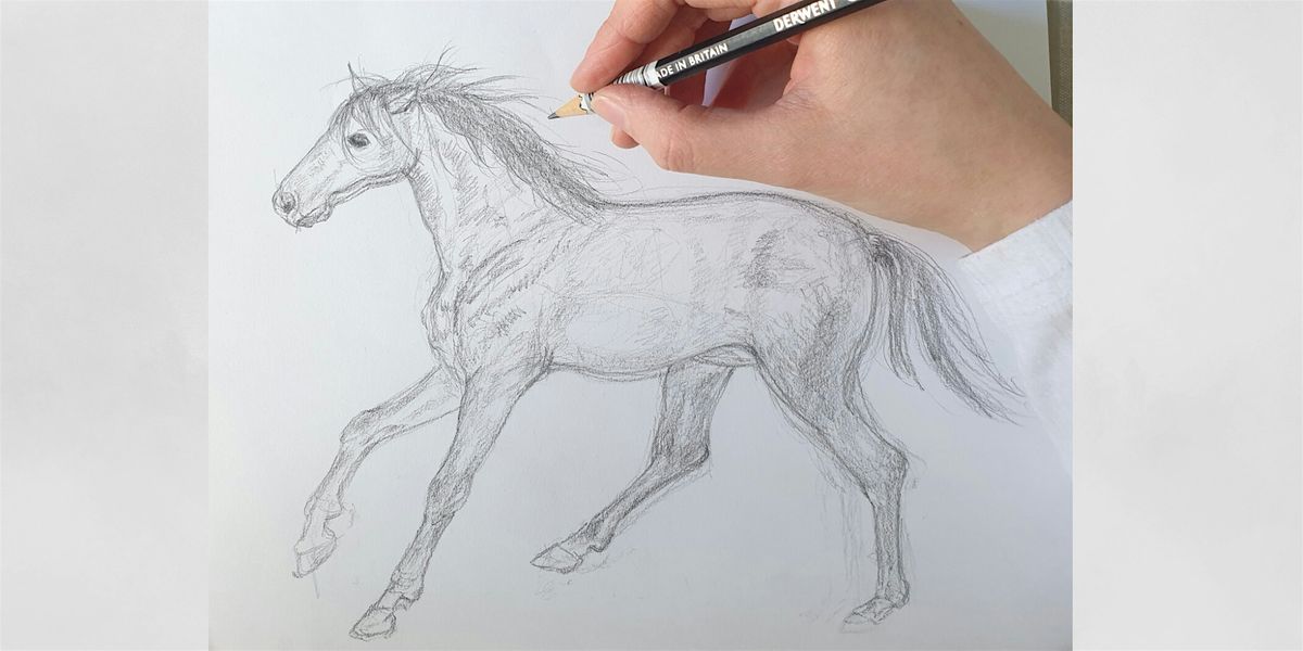 Learn How to Draw Horses