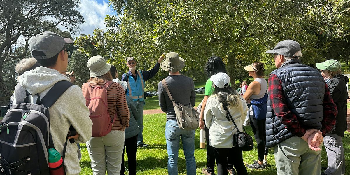 Guided Walk: Botany