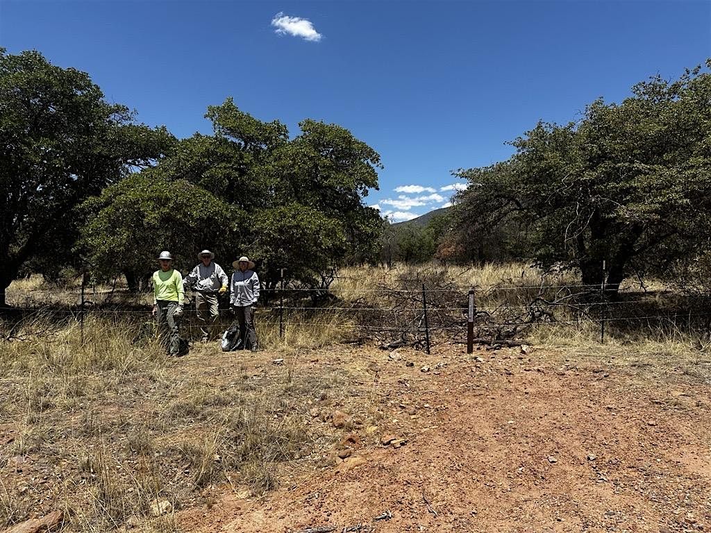 Road Rewilding in the Huachucas: Jan. 10-12