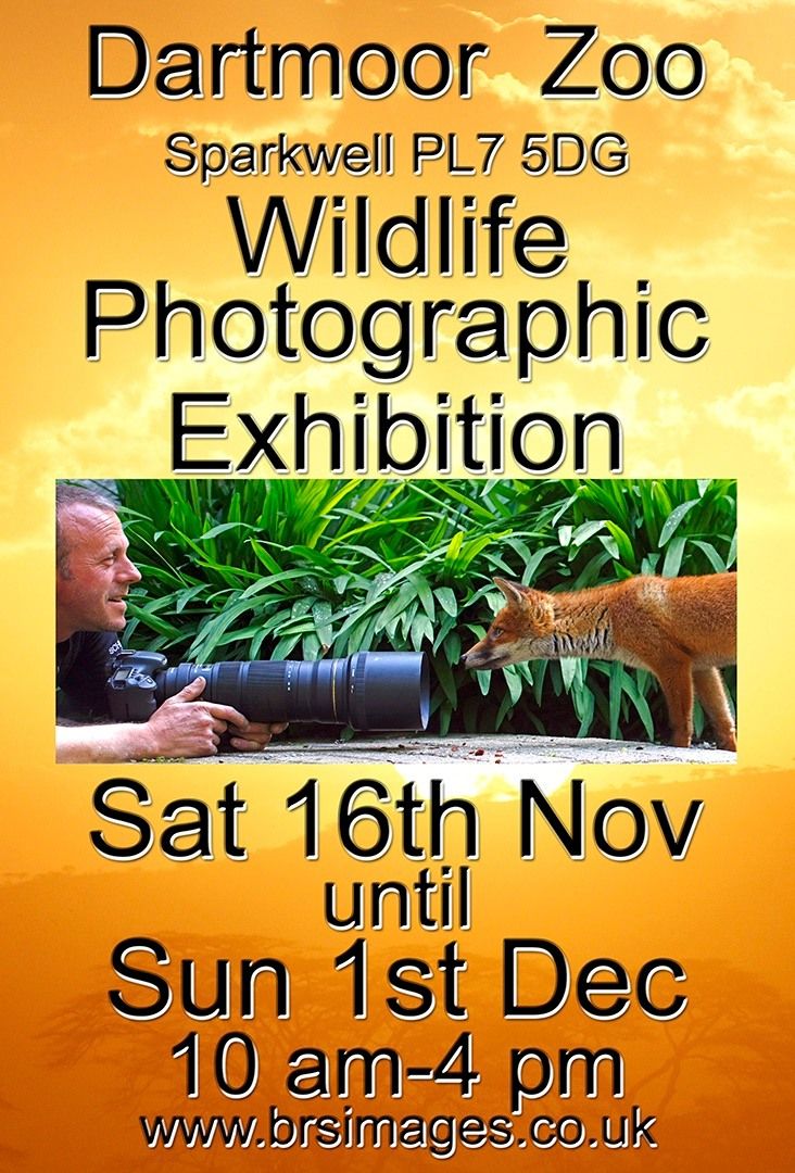 Wildlife Photography Exhibition 