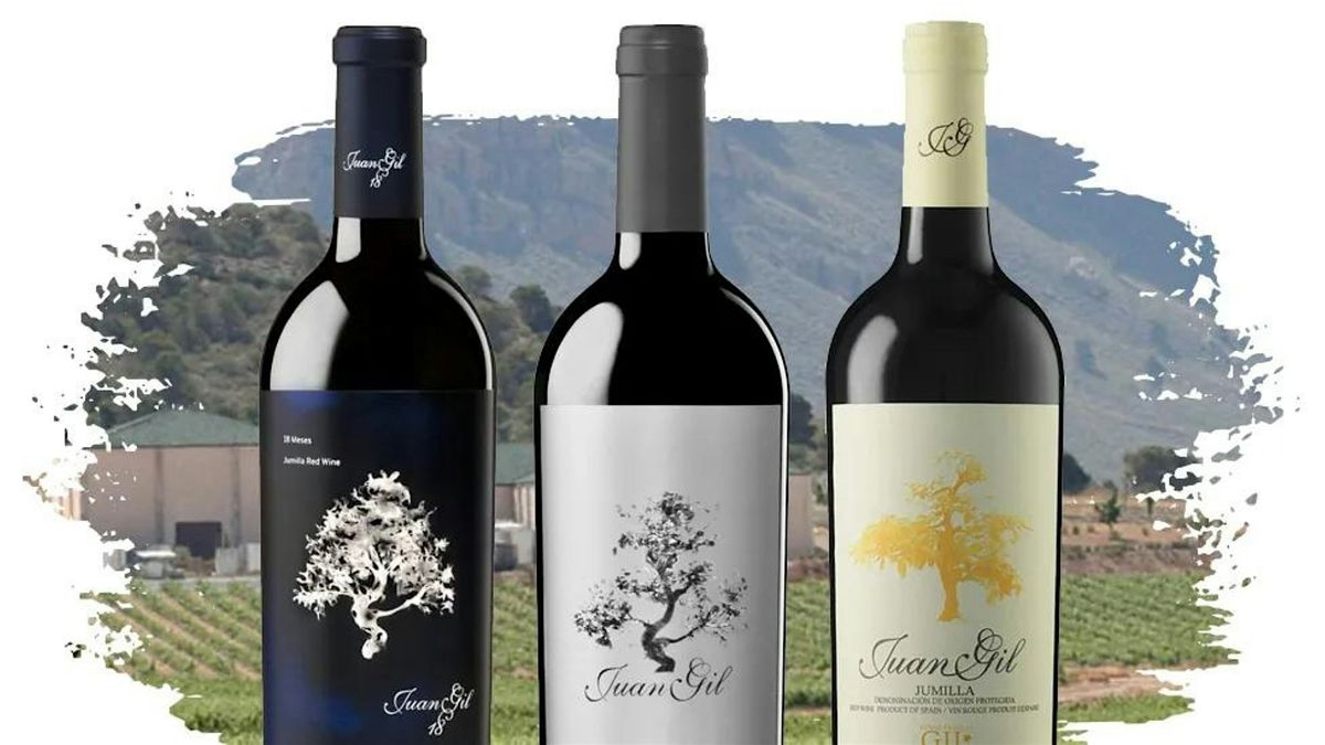 Juan Gil Wine Tasting
