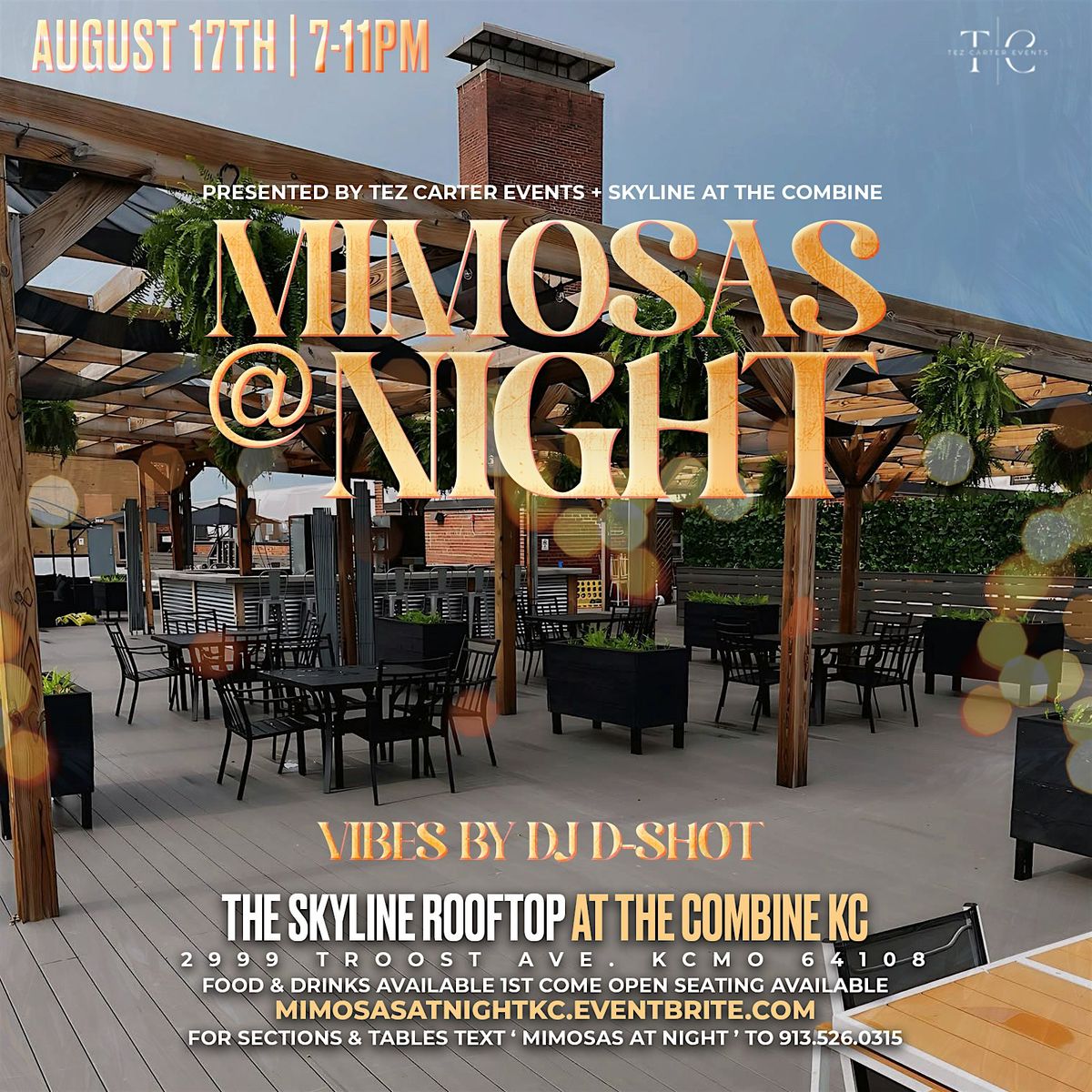 Mimosas at Night
