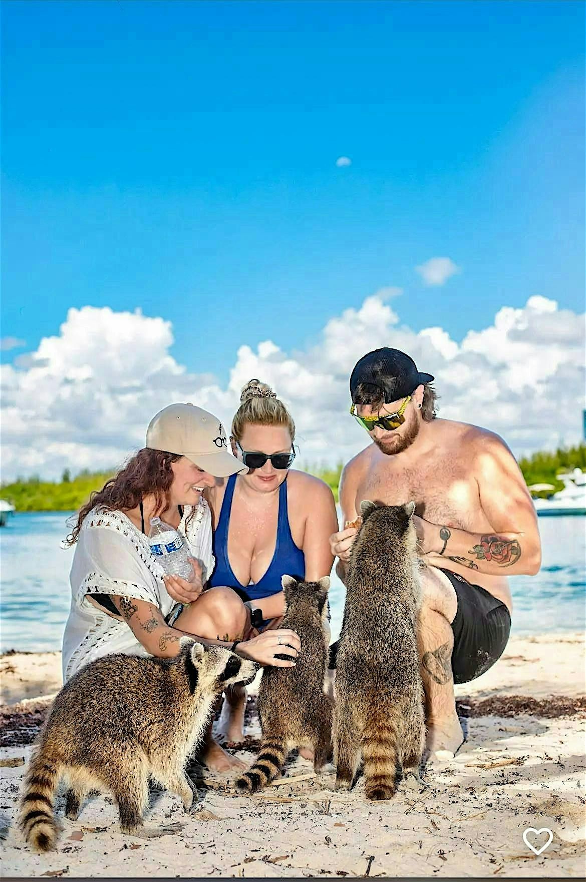 Raccoon island - Boat Tour