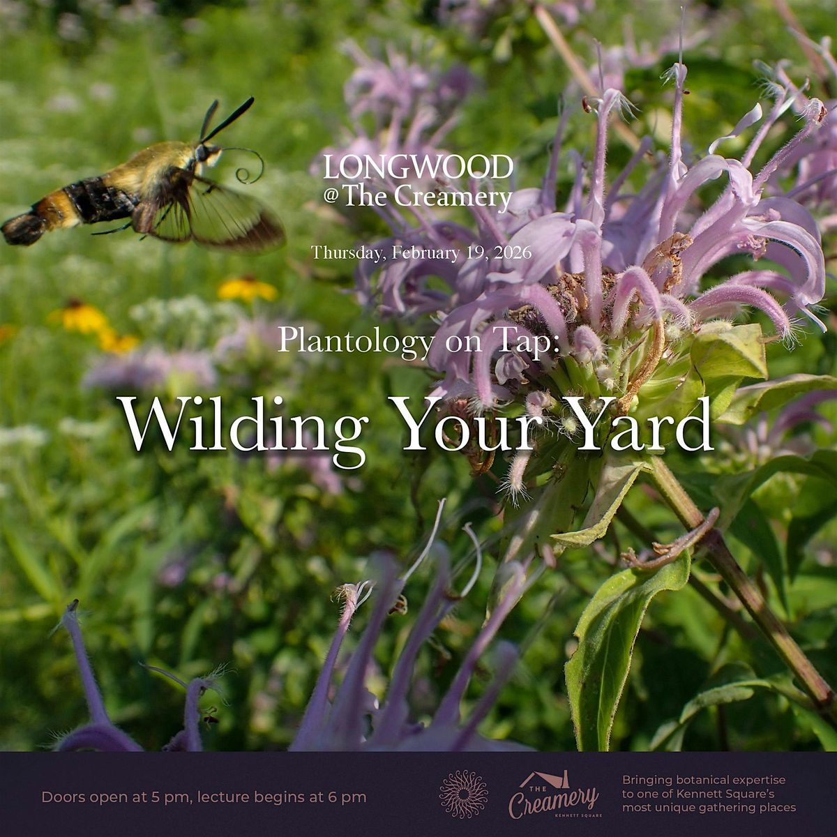 Plantology on Tap: Wilding Your Yard