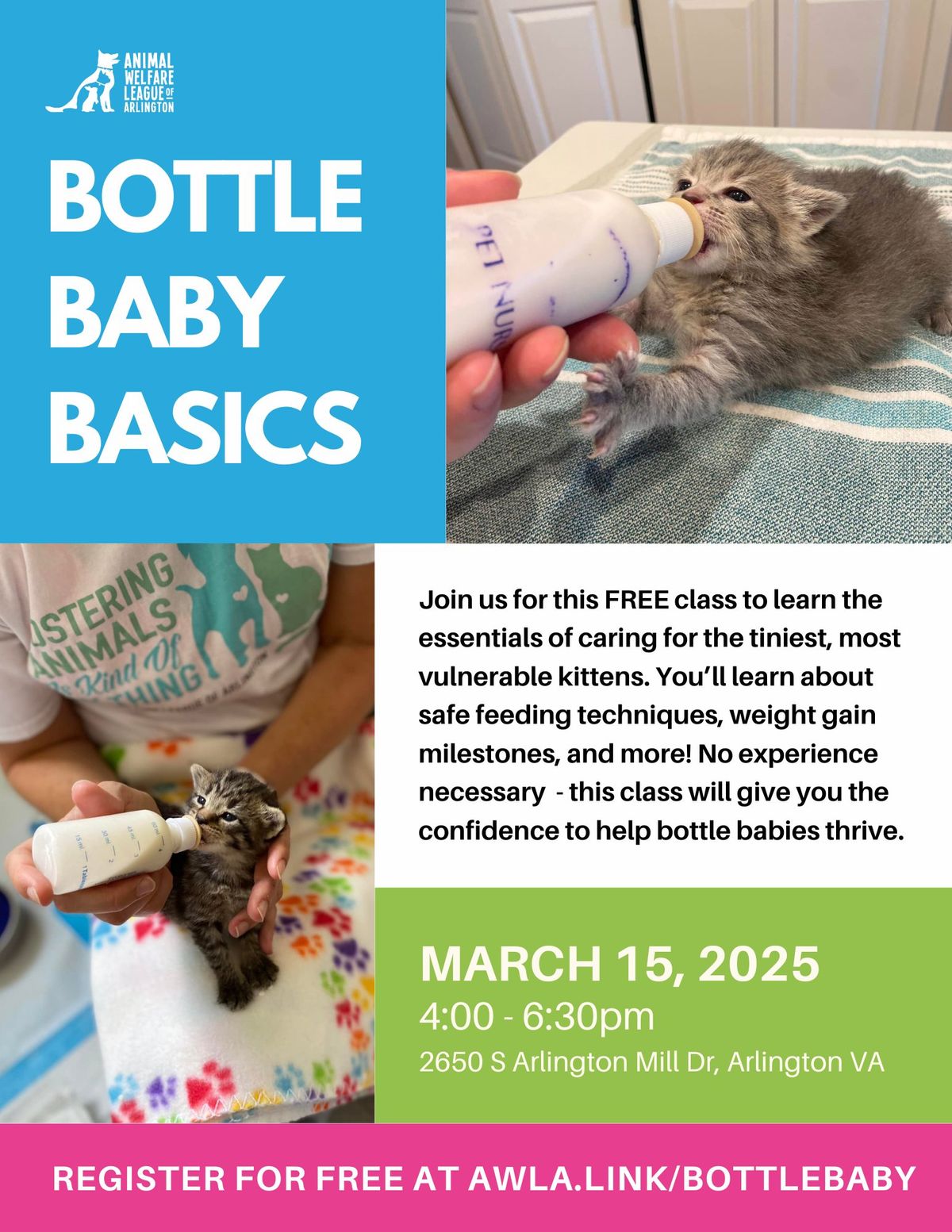 Bottle Baby Basics