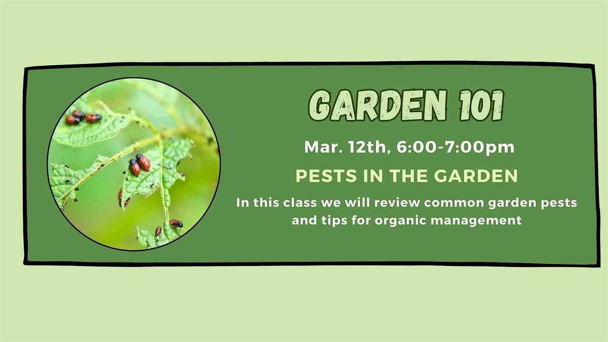 Garden 101: Pests in the Garden