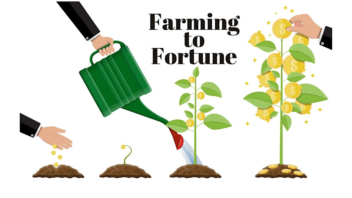 Farming for Fortune: Budget-Friendly Strategies That Work