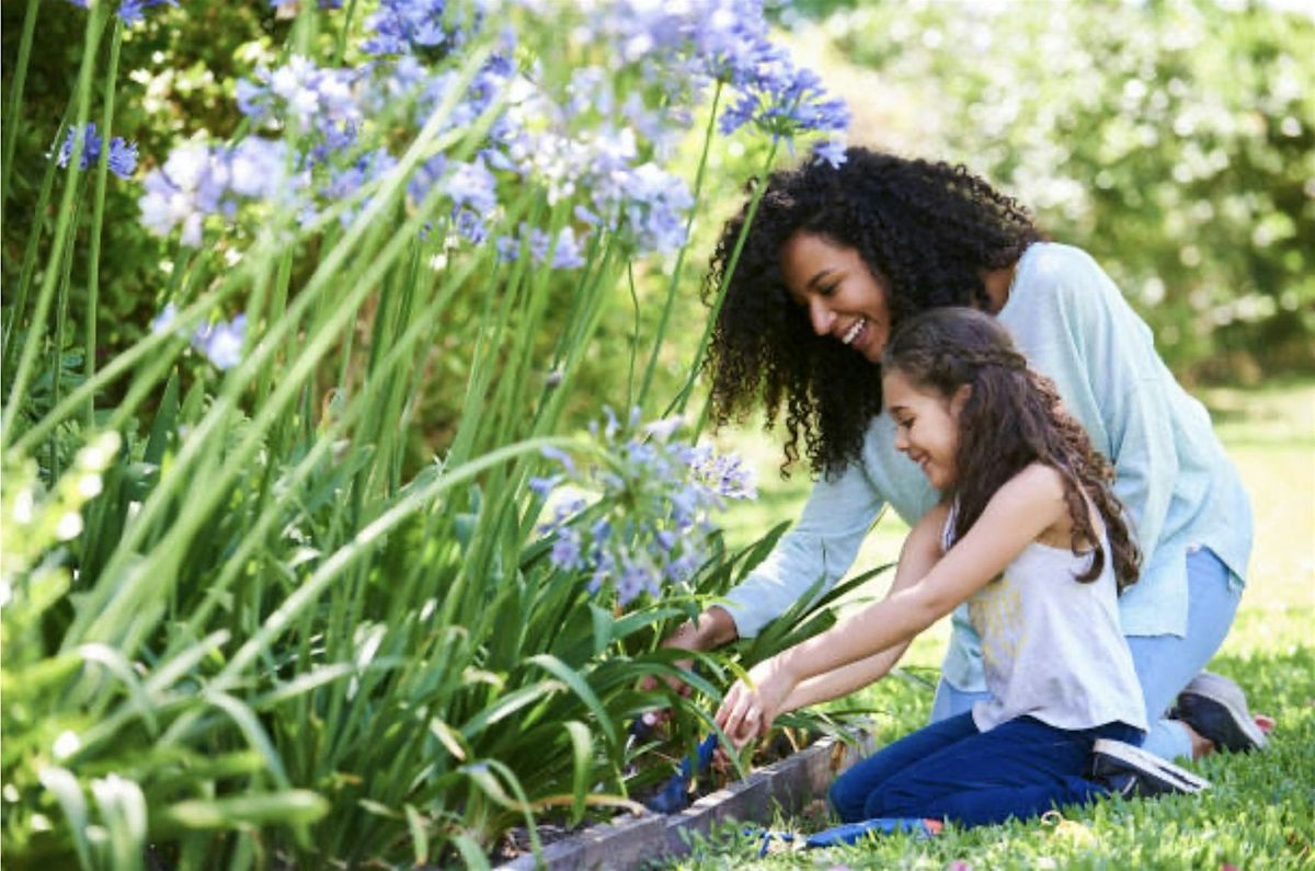 Plants and Human Well Being