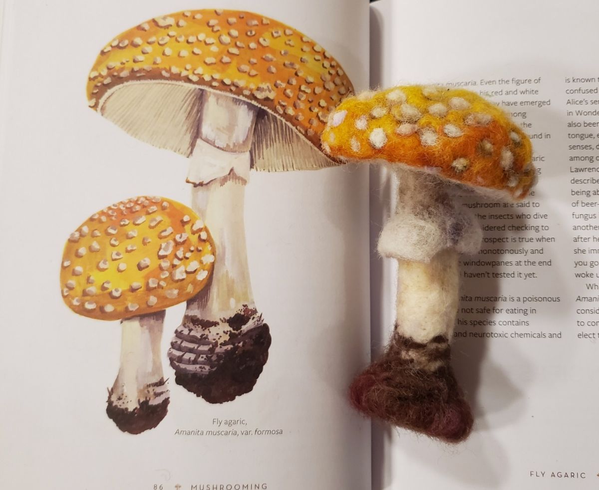 Workshop: Needle Felted Fungi with Mallory Zondag