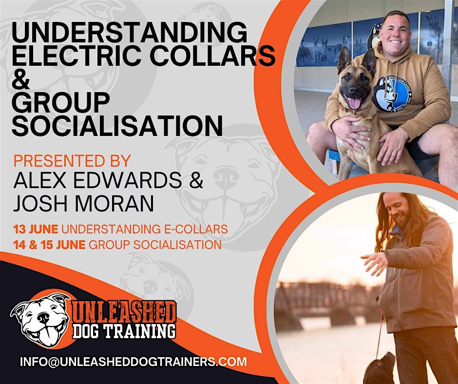 Alex Edwards & Josh Moran Sunshine Coast Seminars