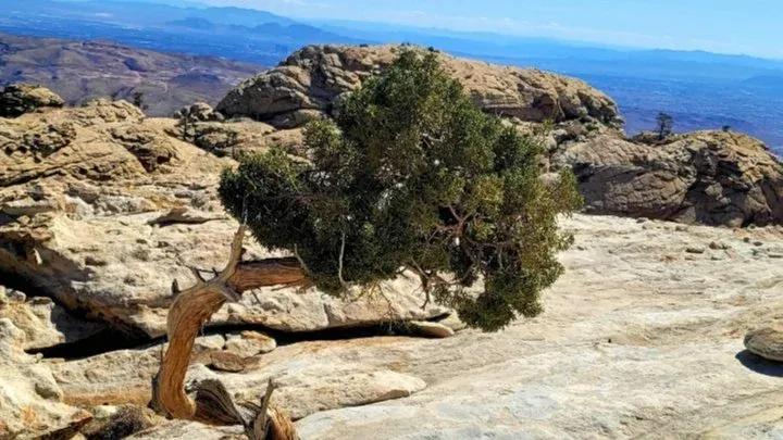 Hidden Peak - THE BEAUTIFUL WAY - Level 3