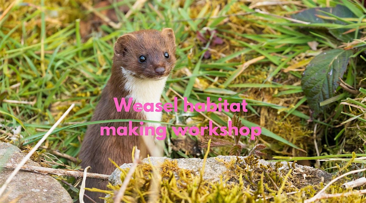 Weasel box making workshop