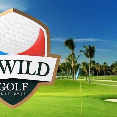 B:WILD GOLF