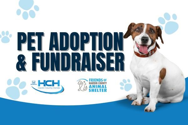 Pet Adoption & Fundraiser