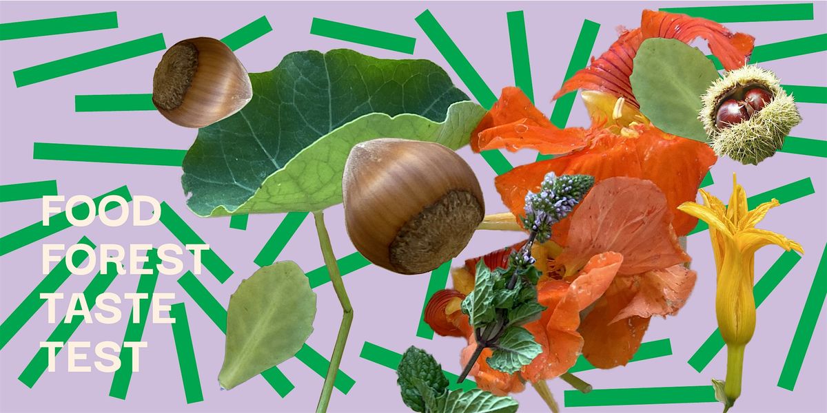 FOOD FOREST TASTE TEST