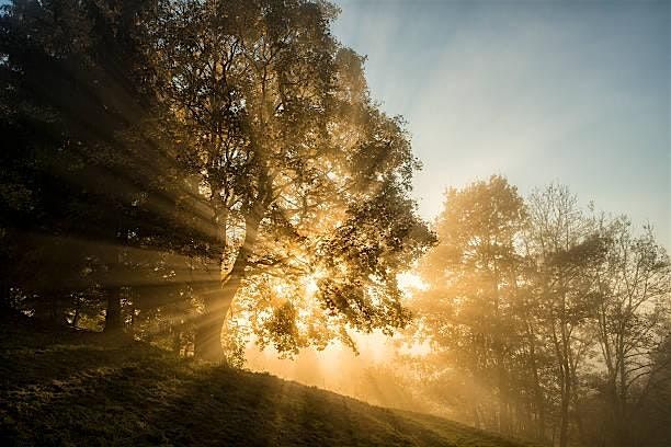 Navigating Grief: Healing, Connection, and Understanding