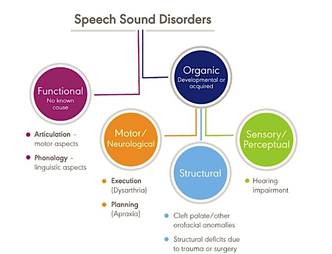 Speech sound disorder CEN Northern Ireland (online)