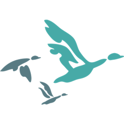 School for Democratic Management @ DAWI