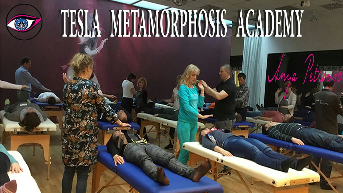 TESLA METAMORPHOSIS SEMINARS