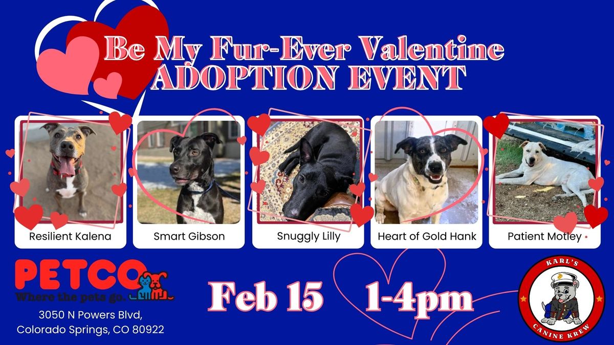 Be My Fur-Ever Valentine KCK Adoption Event