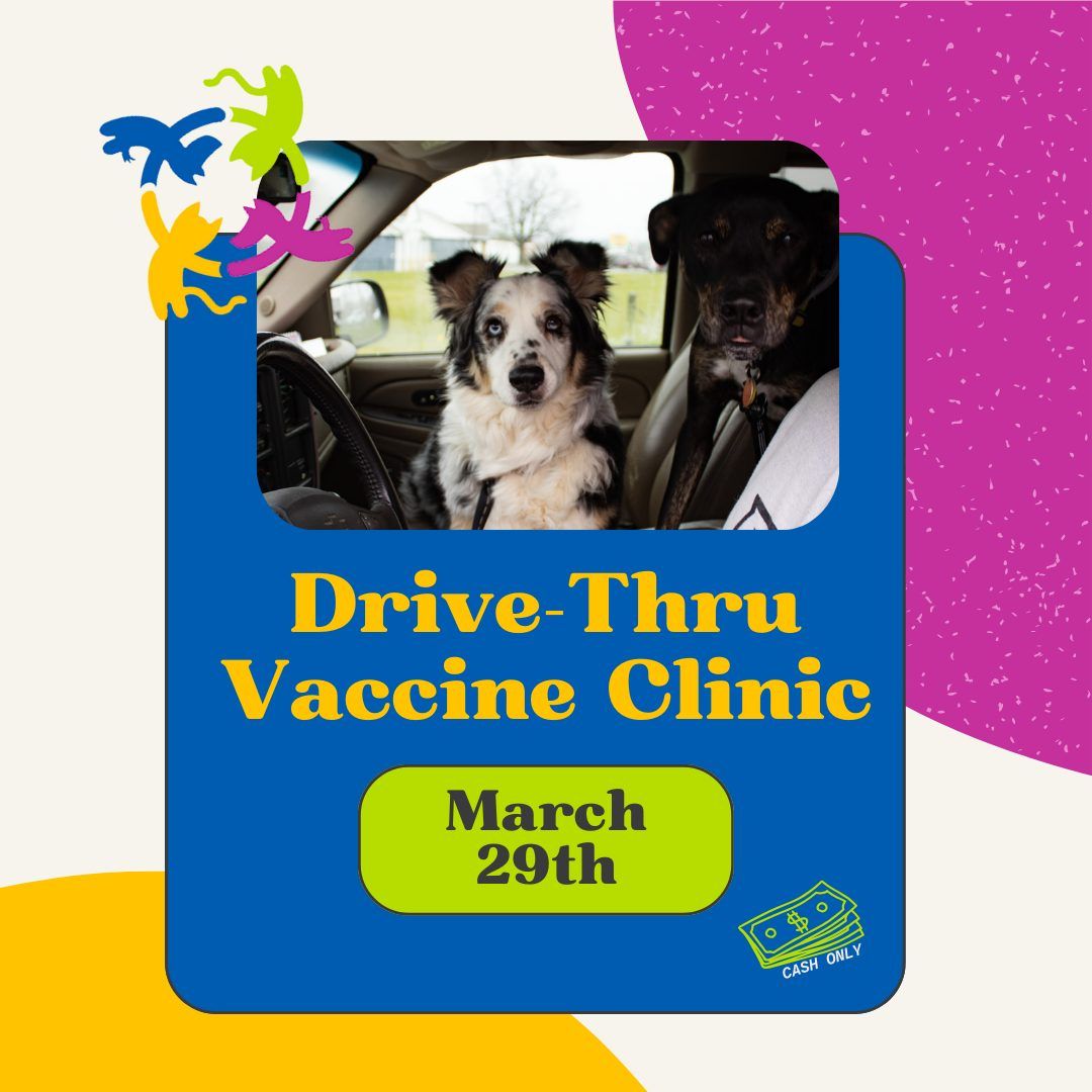 Vaccine Clinic (Drive Thru)